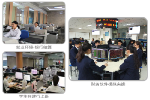 武汉应用科技学校金融事务专业.png